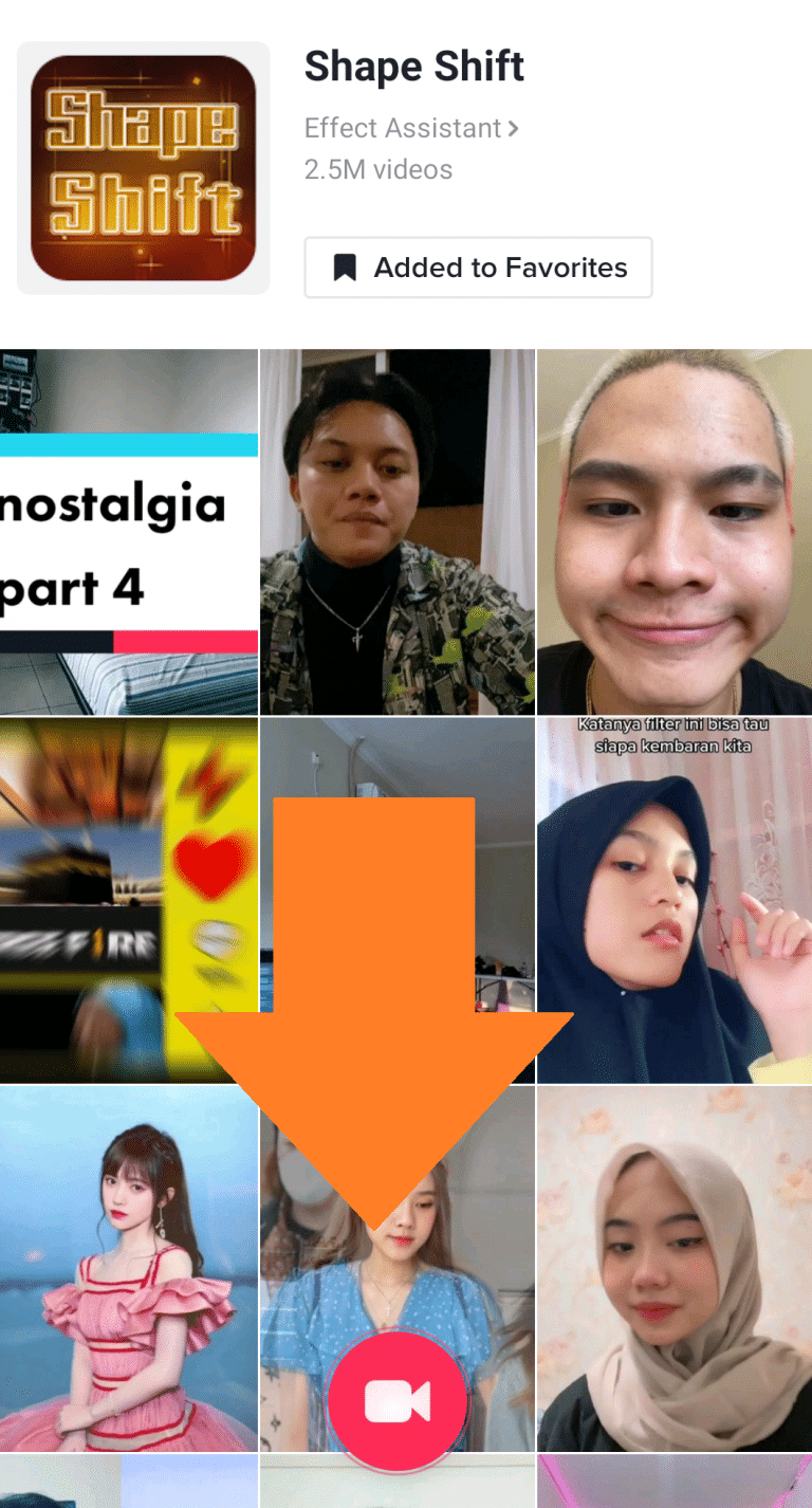 Cara Mencari Filter Di Tiktok Dengan Mudah - Pieter Nooten